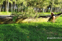 pioggiadorata_ponte_delle_barche-126