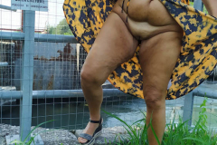 152gitasulgarda_pioggiadorata