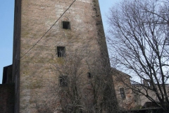 pioggiadorata-svago-59